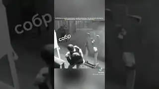 052 xtq nin gücü budur