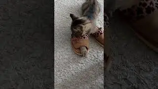 какие ножки!!! 