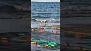 Amazing Oman #youtube #youtuber #youtubeshorts