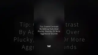 Synth Loops inside the Viper DnB sample pack 