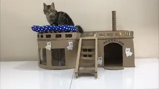 Evde Kartondan Kedi Evi Yapımı Kolay