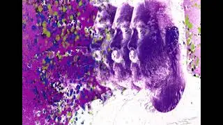 Django´s Welcome 2020 mix 31. 12.19
