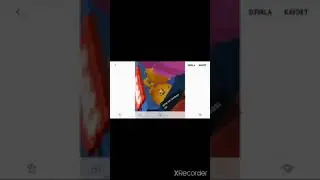 Brawl Stars DETAY