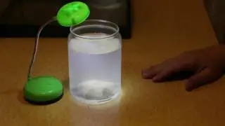 Как сделать гомункула 8