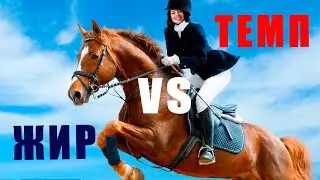 ТЕМПУЕМ НА КРАСНОМ ПРОТИВ ЖИРА! | Оплот VS Инферно