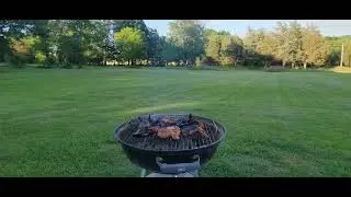 Charcoal Grilling Chicken Wings and Breasts