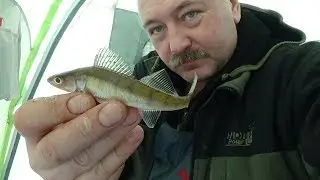 Зимняя рыбалка в Десногорске или опять в Богданово.