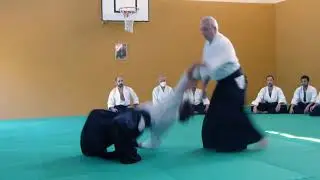 Aikido - Roberto Martucci - Energy young people