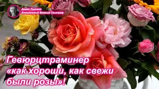 Гевюрцтраминер - 