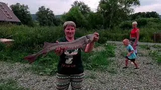 Горный Алтай 4ч. Рыбалка