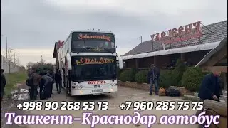 Ташкент Краснодар автобус Ташкент Ростов автобус Краснодар Ташкент автобус