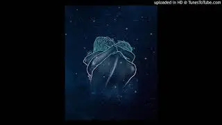 Созвездие Ангела