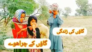 My first vlog/rural life in PunjabPakistan/rural natural life/life in Pakistan vlog