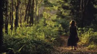 vesky - wanderlust