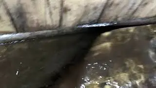 Тонем