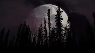 Bryulik - Time Is A River