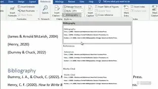 How to insert In-text citations, Bibliography and References in Microsoft Word