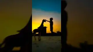 Giraffe 🦒 k sath creative mobile 📲 photography ideas 💡😯#ngvpictures #photography #edit #viral #like