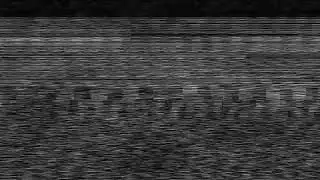 wild static TV background footage - free