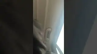 lucki ig live (10/31/22)