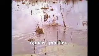 Вазьму твой боль  СШ№38 г Гродна