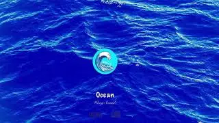 “OCEAN” - LIL WAYNE X DA BABY TYPE BEAT - WAVY SOUNDZ