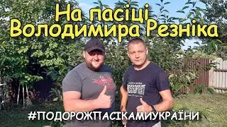 На пасіці Володимира Резніка / #ПОДОРОЖПАСІКАМИУКРАЇНИ