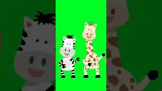 # shorts # zebra and giraffe dancing # cupid #