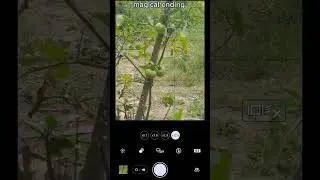 mobile photography| Sony Xperia 1 mark 3| zoom photography 