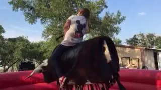 Mechanical bull