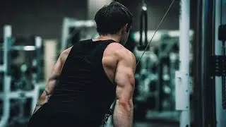 Winter Bulk: Ep. 5 | Back Workout, Active Recovery, Cheat Meal