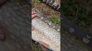 pike fishing