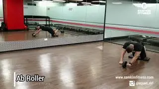 Ab Roller