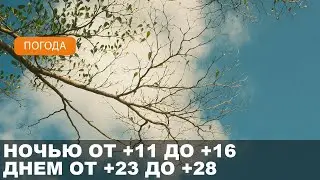 Погода на Могилевщине 12.09.2024 // Возможны осадки