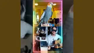 Yum Yum the Tiel Song (feat. Yum Yum)