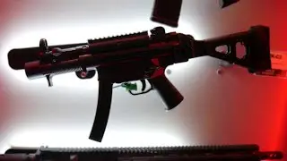 SHOT 2020 - Franklin Armory's Binary Trigger for Ruger 10/22!