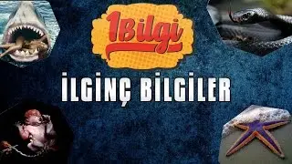 İlginç Bilgiler [HD]