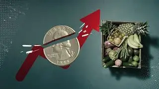 Price Gouging is a Good Thing, Actually