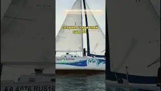 Организация корпоративных регат! 89172956360 