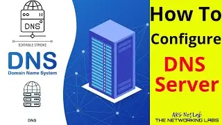 How To Configure DNS Server In CISCO | CISCO CCNA | AKS NetLab