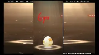 6 years to hatch two 5 km eggs