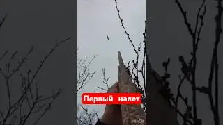 Охота на гуся #охота #охотанагуся #весенняяохота  #охотанауток #охотавидео #shorts #шортс