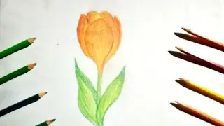flower drawing colour | flower drawing easy steps