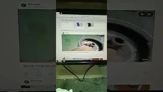 серия новых видео на дзен.