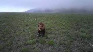 Наша Сибирь 4К: Байкало-Ленский заповедник