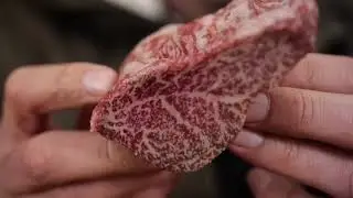🔴 Cold Smoke Carpaccio #SHORTS