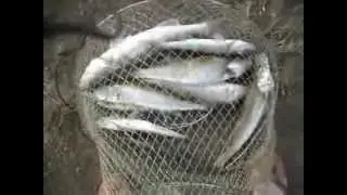 Озеро Тенир 9 сектор