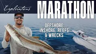 Expedition: Marathon