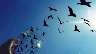 ОТПУСТИТЕ СИТУАЦИЮ. ИНГА ХОСРОЕВА. ВЕДЬМИНА ИЗБА.