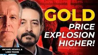 Howell & Tiggre: GOLD PRICE Predictions & Strategies from Top Economists